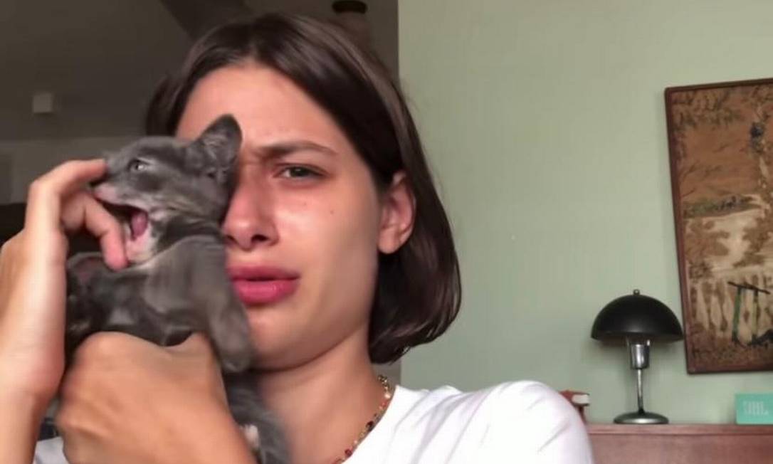 Luisa Arraes e nova gatinha de estimação Foto: Reprodução