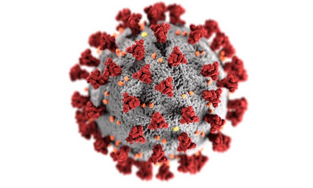 Representação do novo coronavírus Foto: Reprodução