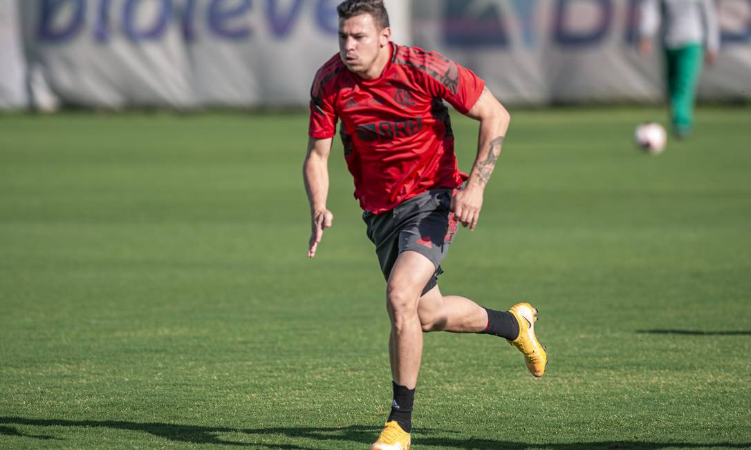 Hugo Moura: de volta ao Fla ap&oacute;s empr&eacute;stimo Foto: Marcelo Cortes / Flamengo