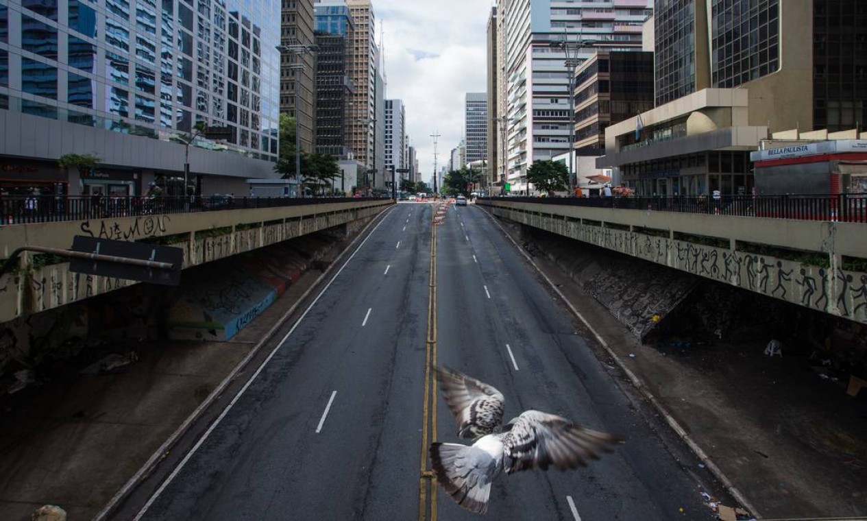 Pomba atravessa Avenida Paulisa praticamente deserta, depois que governo do São Paulo decretou fase vermelha Foto: Edilson Dantas / Agência O Globo
