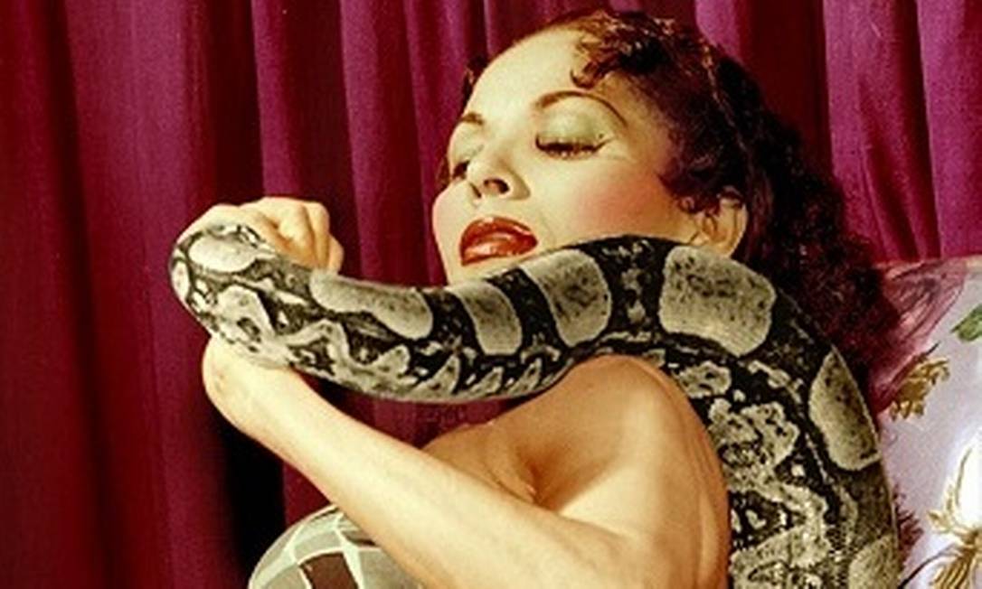 Suzy King e sua serpente: cantora, compositora, faquiresa e diva transgressora Foto: Divulgação