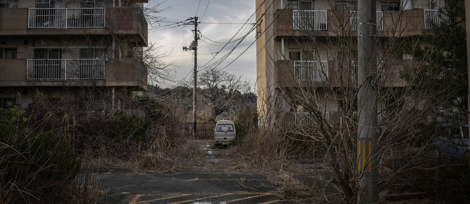 Mato cresce em condomínio de Futuba, cidade mais próxima da usina nuclear de Fukushima Foto: JAMES WHITLOW DELANO / NYT