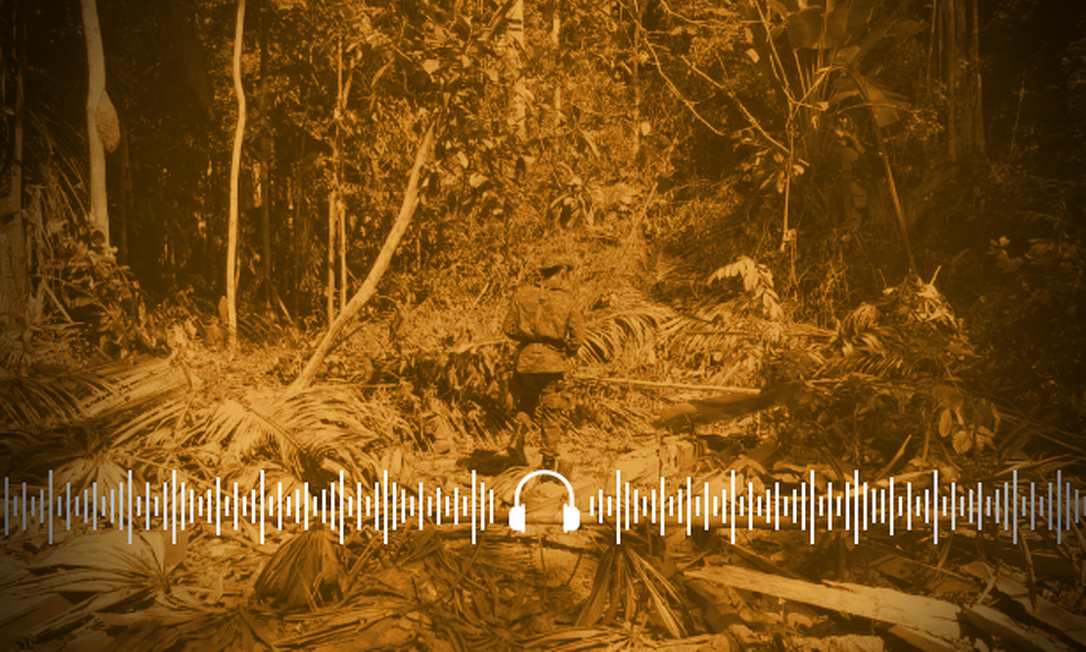 Sem fiscalização, grilagem de florestas públicas ganham força na Amazônia Foto: Arte