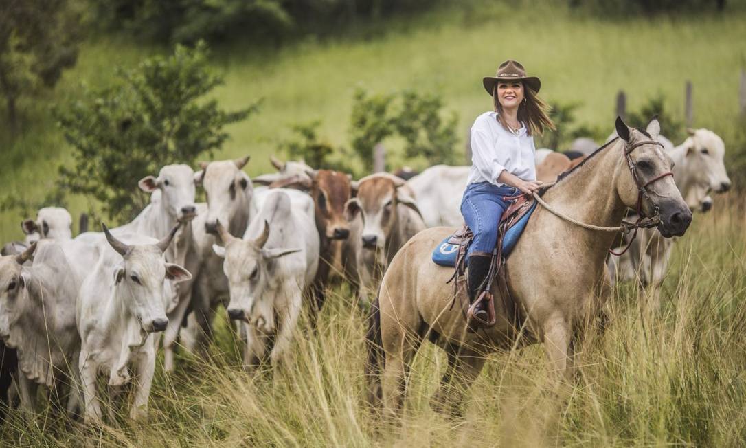 Nomes para fazenda: 210 ideias de nomes de fazendas