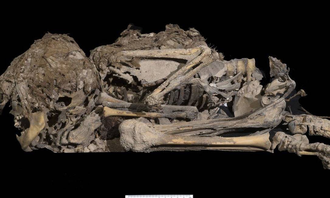 Esqueleto de criança datado de 6 mil anos atrás também foi descoberto Foto: ISRAEL ANTIQUITIES AUTHORITY