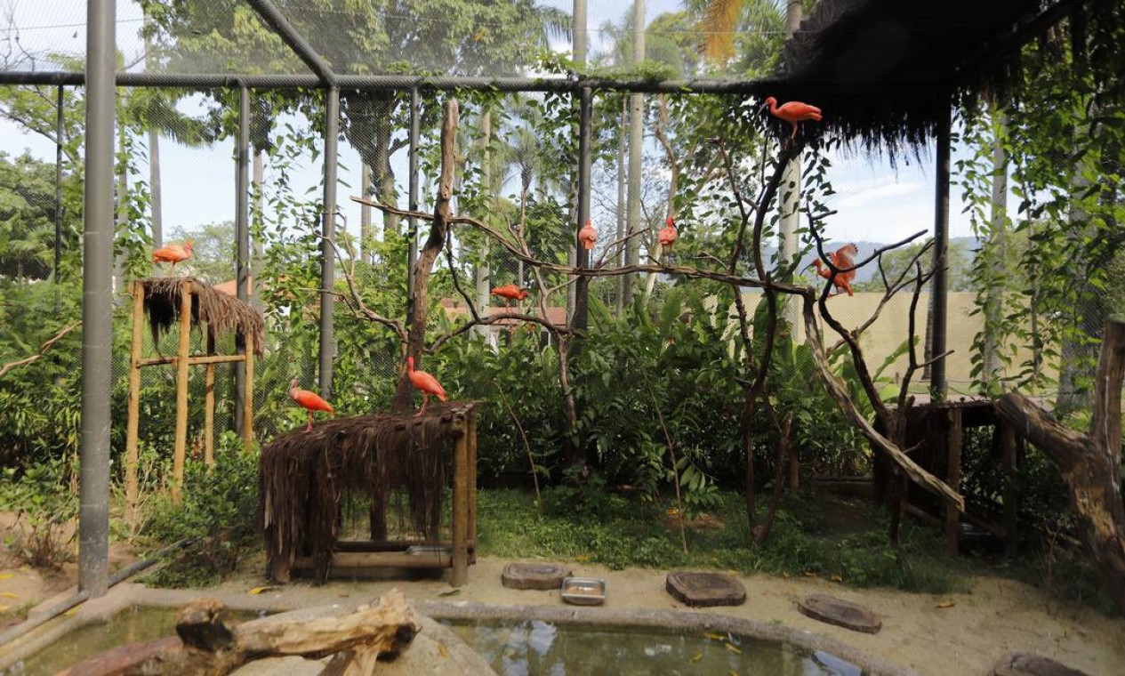 O zoológico está de volta após mais de um ano fechado para obras Foto: Beth Santos / Divulgação