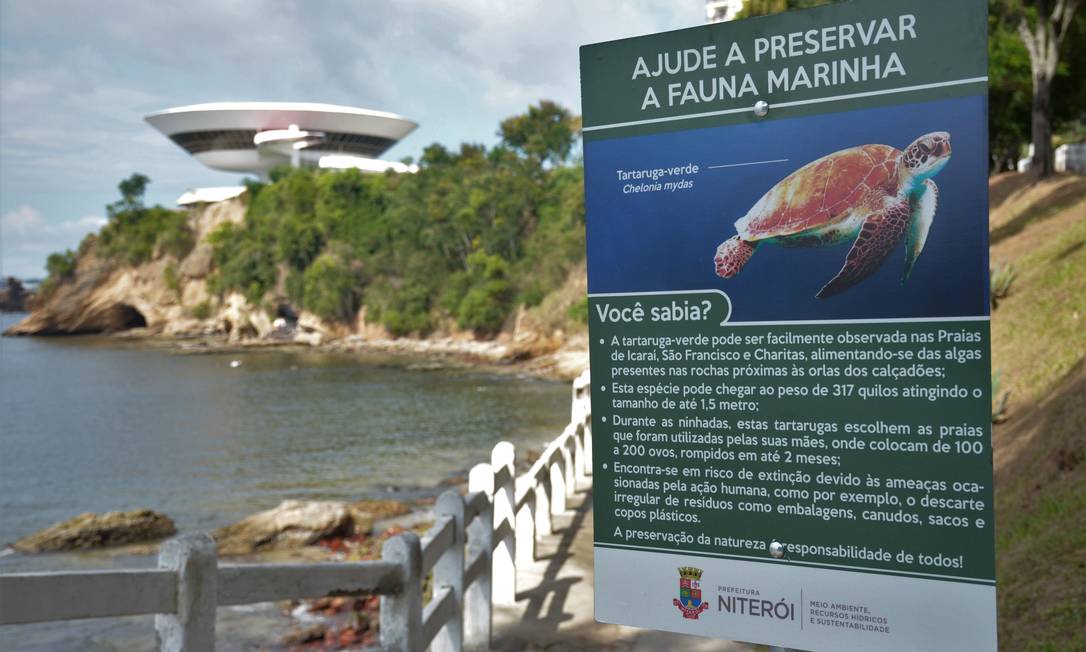 Praia da Flechas. O local recebeu uma das seis placas sobre a ameaça à tartaruga-verde; há outras na Boa Viagem, em Icaraí, em São Francisco e em Charitas
Foto:
Divulgação
