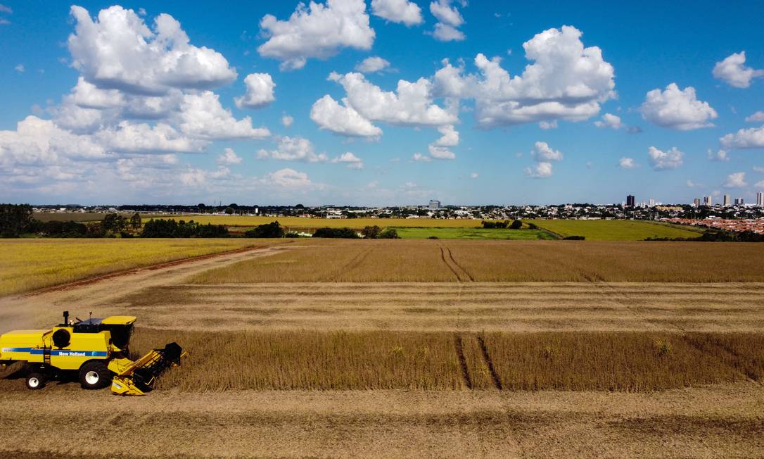 Colheita de soja avança no Paraná: dólar e preços de commodities altos favorecem exportações Foto: O Globo