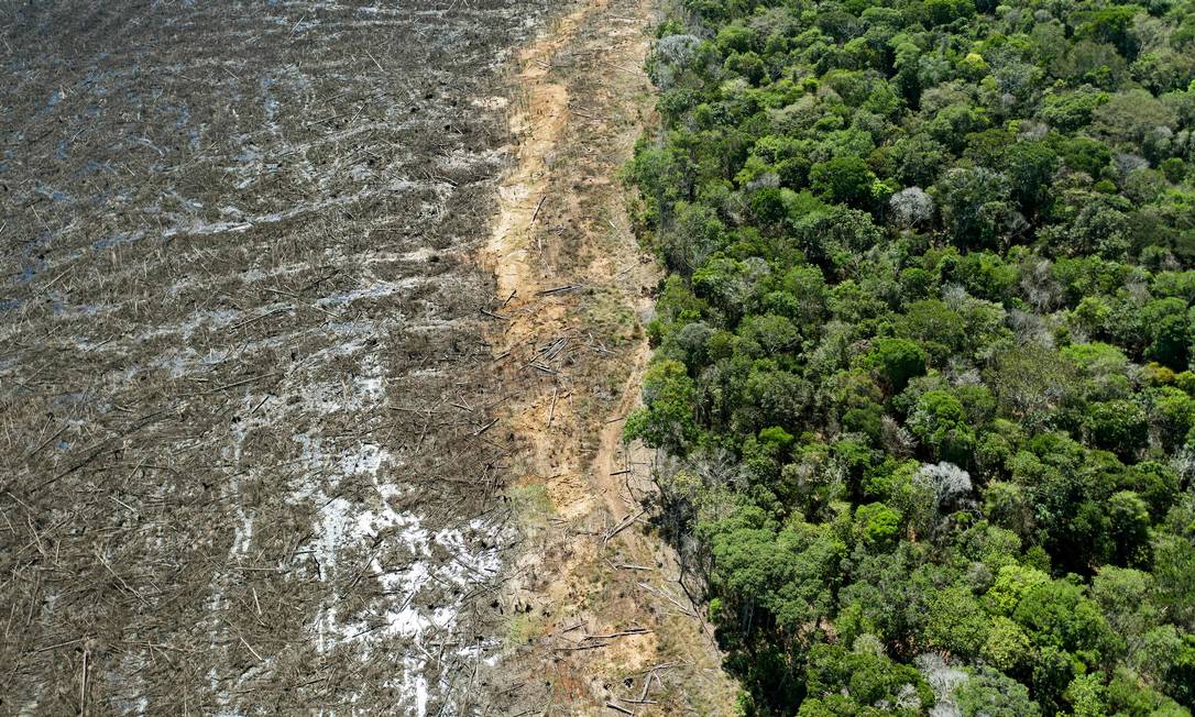 Área desmatada perto de Sinop, no Mato Grosso, em agosto de 2020 Foto: FLORIAN PLAUCHEUR / AFP