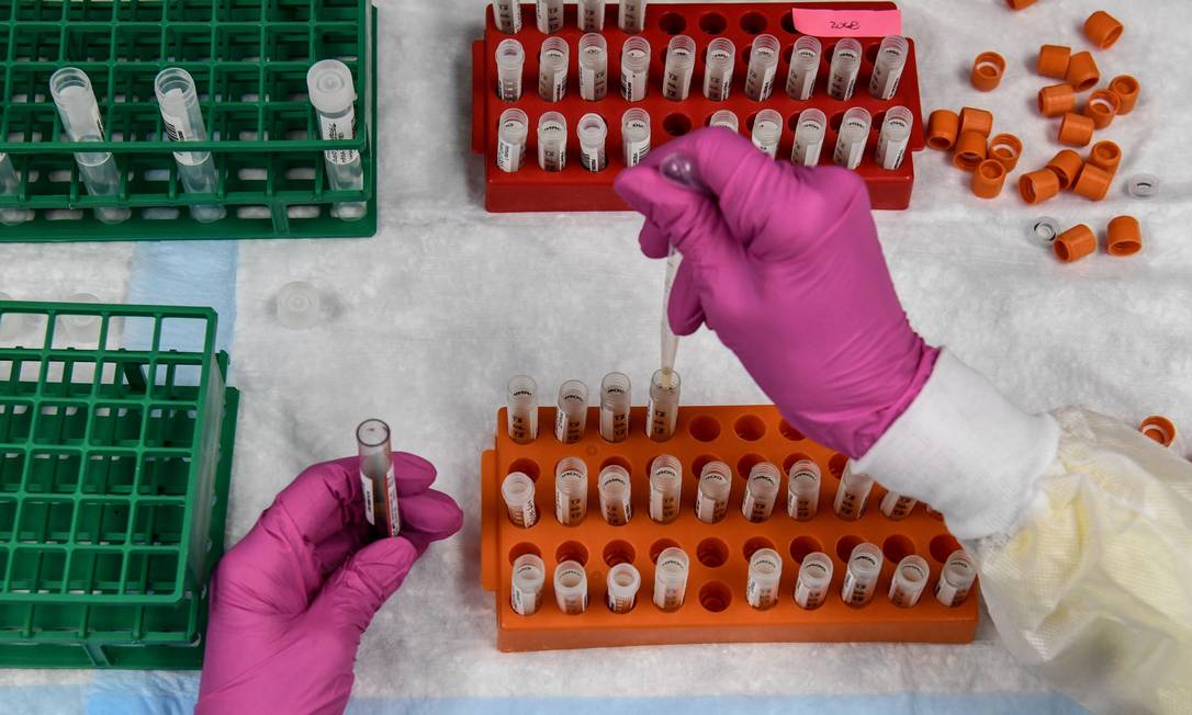 Técnico analisa amostras em laboratório durante estudo para vacina contra a Covid-19 Foto: CHANDAN KHANNA / AFP
