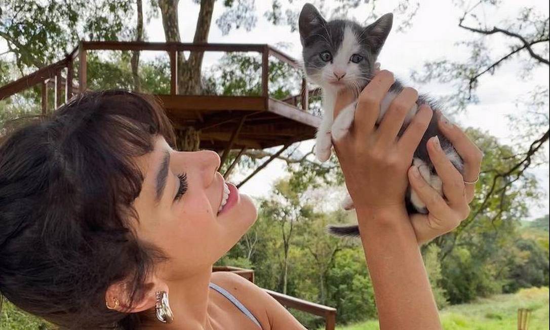 Bruna Marquezine apresenta gata de estimação que adotou junto com Enzo Celulari Foto: Reprodução