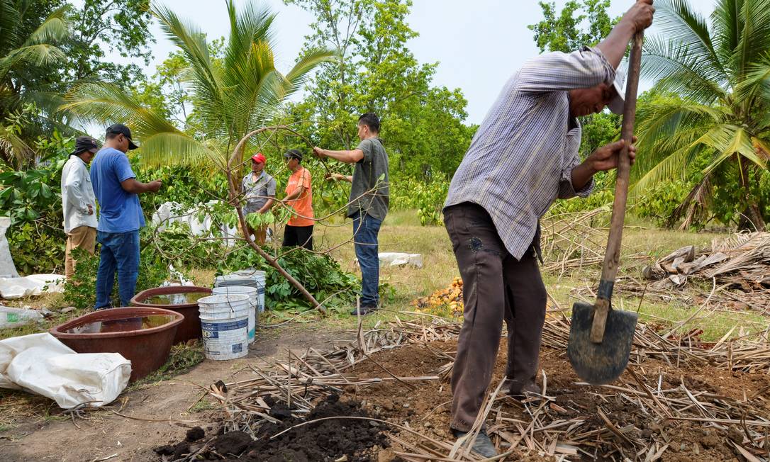 Migrantes da América Central trabalham em um composto para criar material orgânico a ser usado como fertilizante para plantas Foto: JOSE TORRES / REUTERS