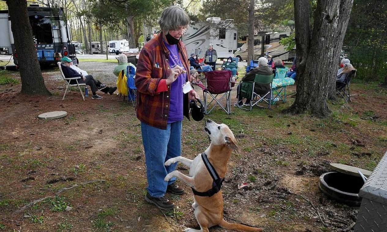 Mulher alimentando cachorro em acampamento Foto: Getty Images