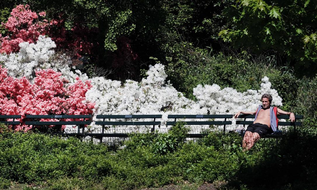 Central Park, em Nova York, durante a primavera. O local é um oásia de tranquilidade no ambiente urbano da cidade e um dos pontos turísticos mais visitados da Big Apple Foto: SPENCER PLATT / AFP