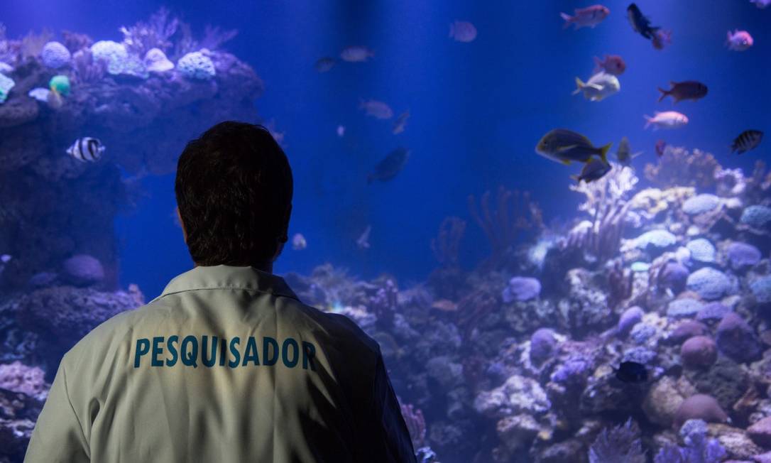 CNPq paga 13 das bolsas aprovadas e entidades temem por