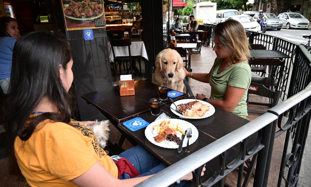 Tip Top. Erika (à esquerda) e Danielle almoçam com seus cachorros Foto: Divulgação/Demóstenes Ramos