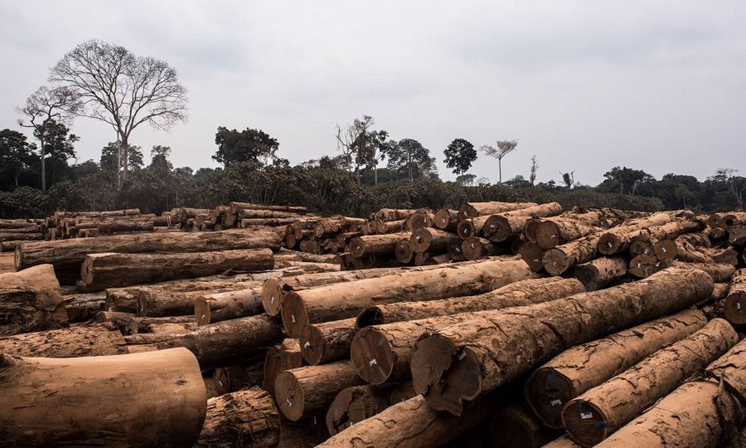 Toras extraídas da floresta em Rondônia: redução do desmatamento poderia ser bom negócio para o Brasil Foto: Leonardo Carrato / Bloomberg