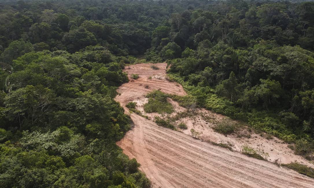 Desmatamento recorde: Amazônia tem piores números para o mês de maio da série histórica, aponta Inpe