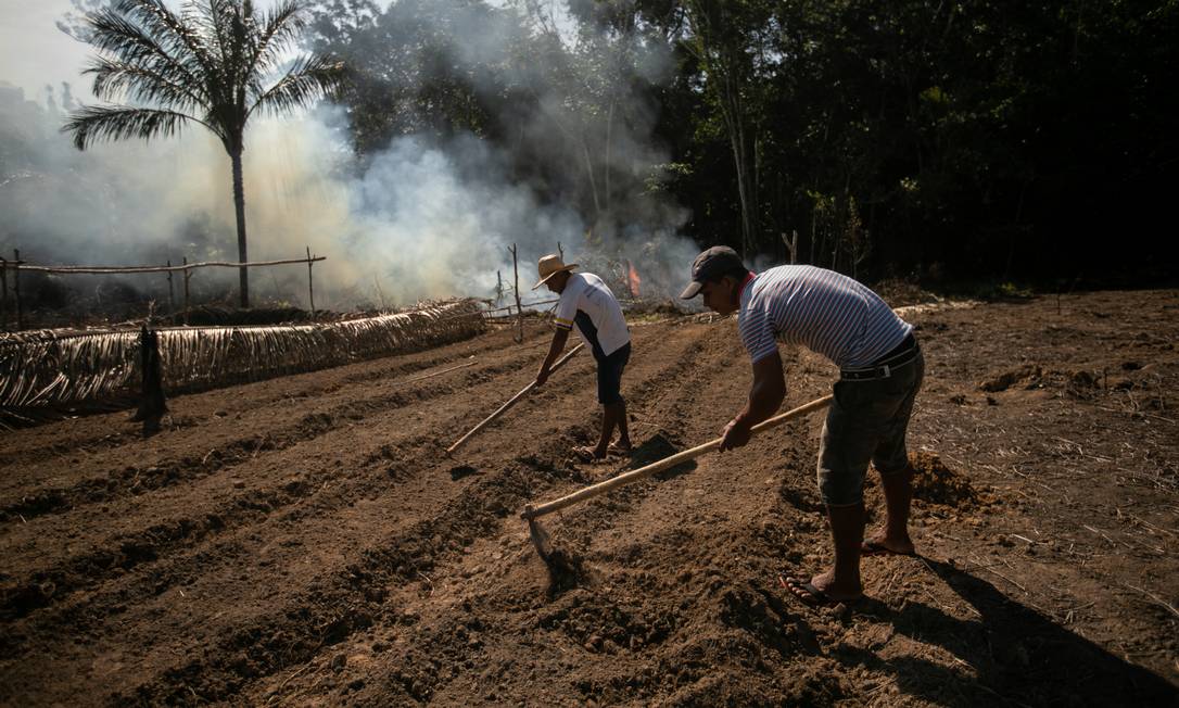 Habitantes locais preparam a terra para agricultura em meio à Floresta Nacional Jacundá Foto: Brenno Carvalho / Agência O Globo