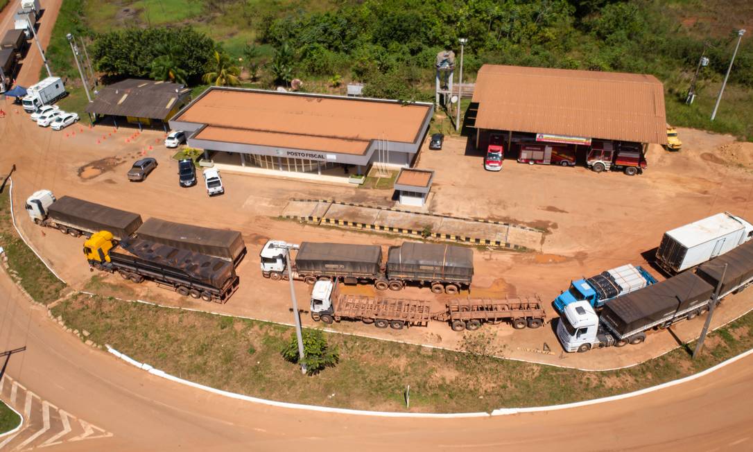Caminhões com madeira irregular apreendidos na BR-319 pela PRF Foto: Brenno Carvalho / Agência O Globo