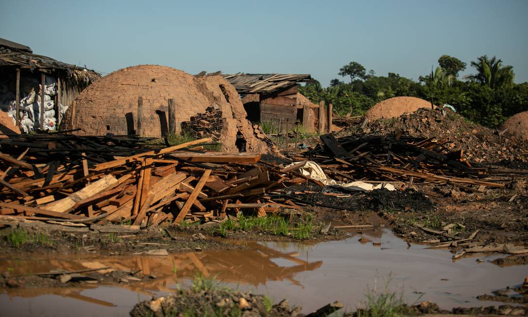 197 quilômetros quadrados de floresta em Humaitá foram derrubados entre 2019 e 2020 Foto: Brenno Carvalho / Agência O Globo