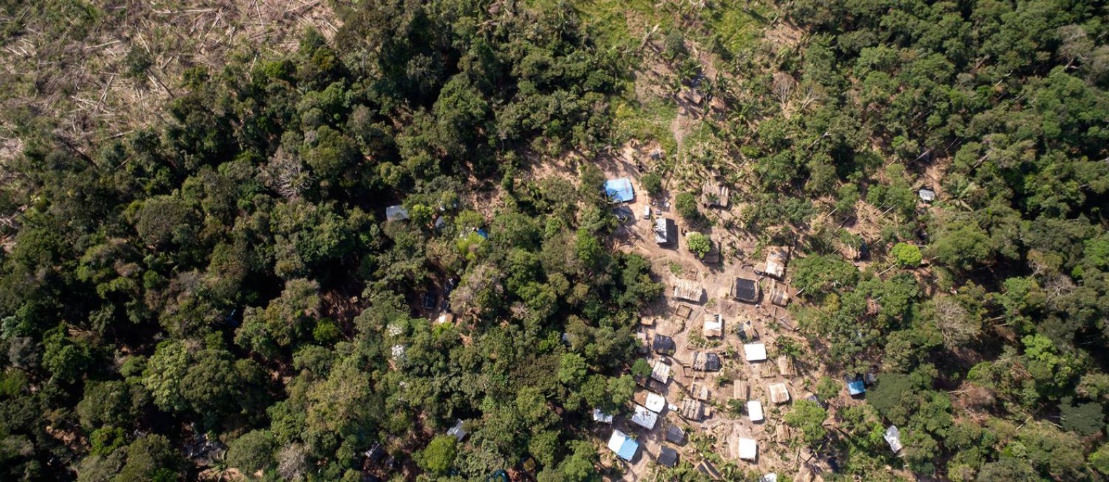 Floresta Nacional de Jacundá em Rondônia, próximo a Porto Velho, tem um assentamento em crescimento. Foto: Brenno Carvalho / Agência O Globo.