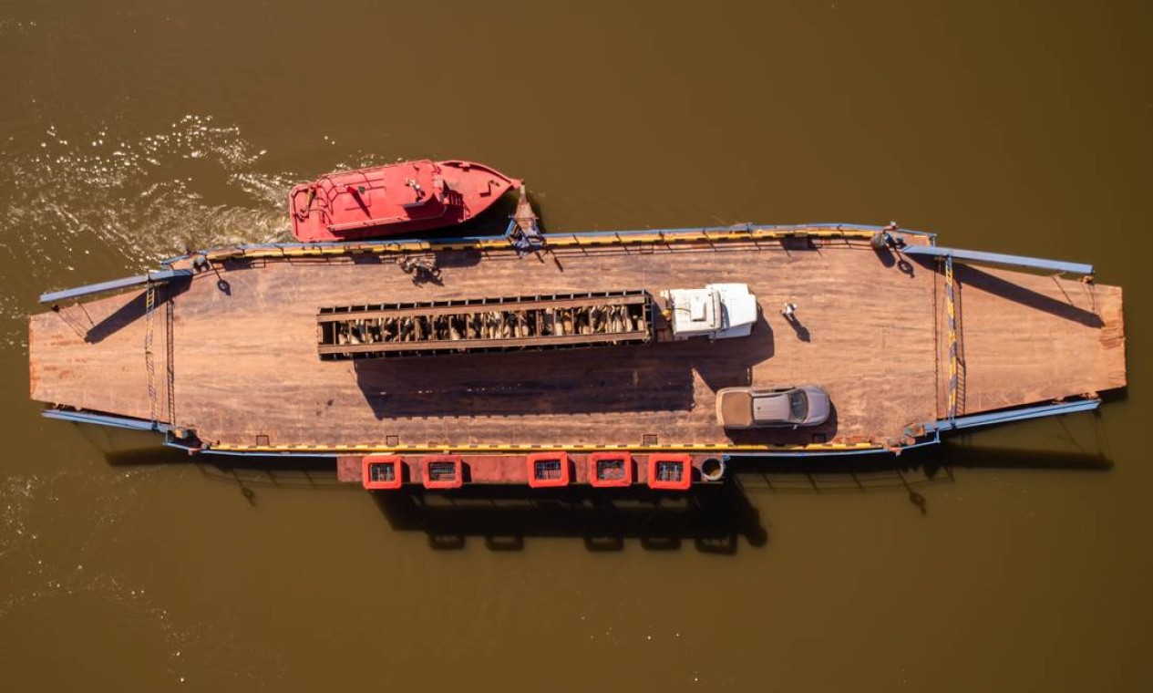 Caminhão carregado de bois atravessa o rio Aripuanã em uma balsa em direção a Apuí, no Sul do Amazonas. Áreas de floresta da região estão sendo desmatadas e dando lugar a pastagens para alimentar o gado Foto: Brenno Carvalho / Agência O Globo