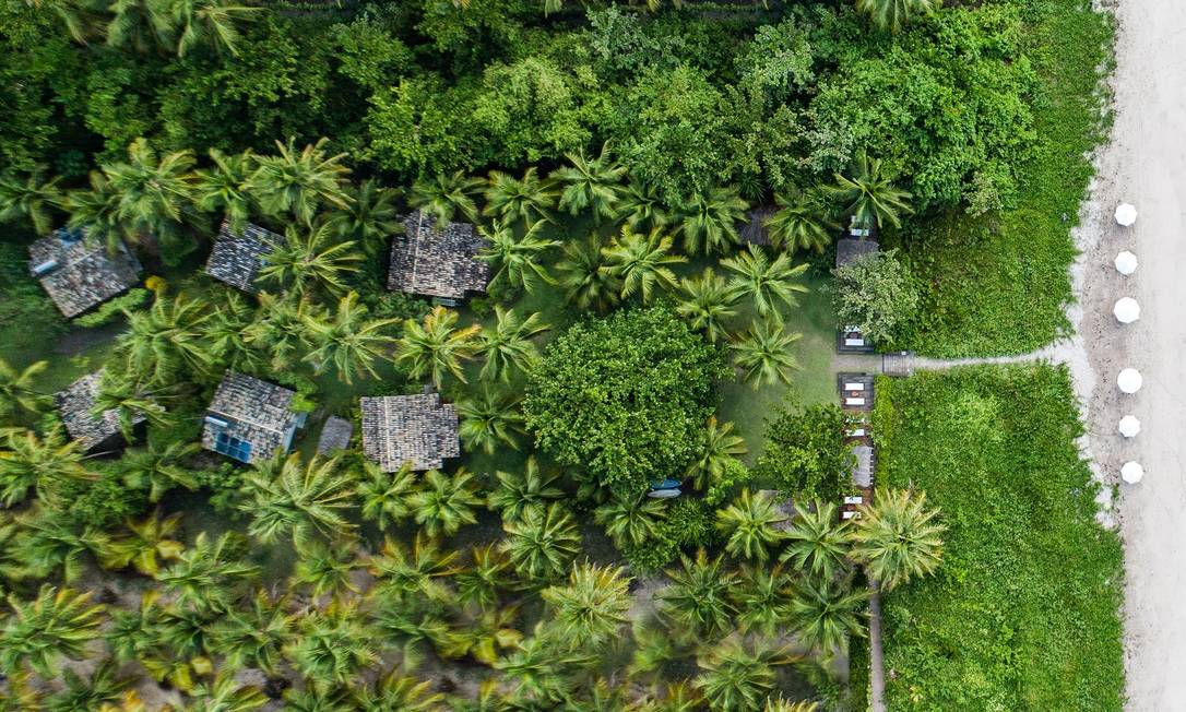 Imagem aérea do terreno da Pousada da Amendoeira, coberto por coqueiros, limoeiros e outras árvores frutíferas, em São Miguel dos Milagres, Alagoas Foto: Fernanda Genthon / Divulgação