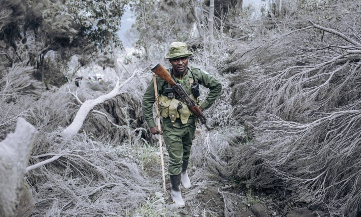 Guarda-florestal do Parque Nacional de Virunga sobe as encostas do vulcão Nyiragongo, ao norte de Goma, três semanas após uma erupção que causou a morte de cerca de 30 pessoas e o Evacuação de quase meio milhão de residentes de Goma Foto: ALEXIS HUGUET / AFP