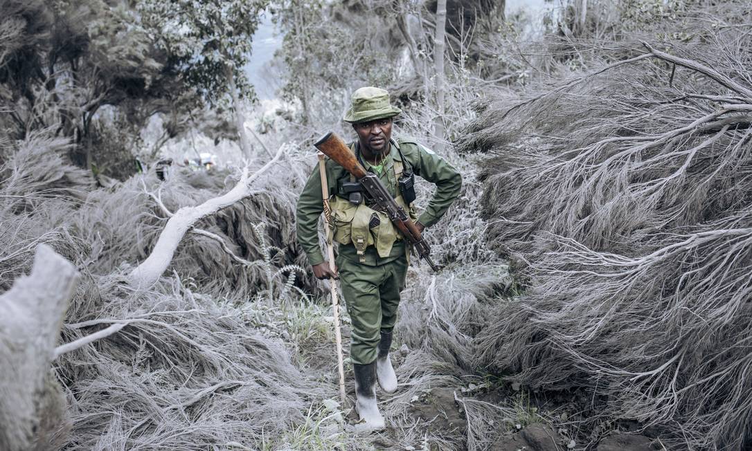 Il ranger del Parco nazionale di Virunga scala le pendici del vulcano Nyiragongo a nord di Goma tre settimane dopo che un'eruzione vulcanica ha ucciso quasi 30 persone e ha provocato lo sfollamento di quasi mezzo milione di abitanti di Goma Foto: Alexis Hoguet/AFP