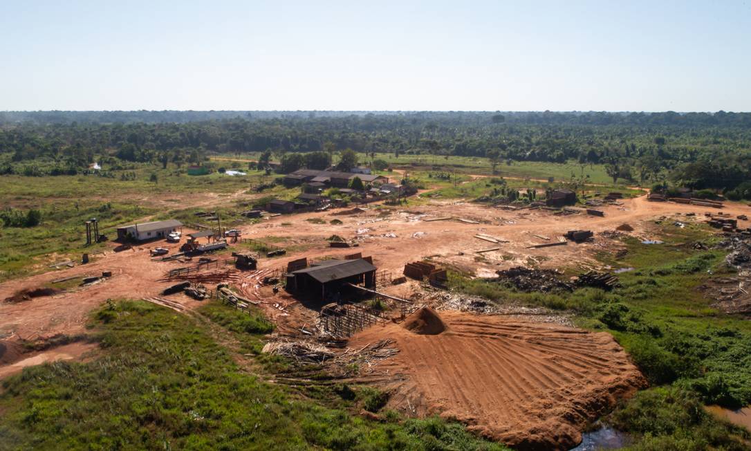 Grandes campos em desmatamento próximo à BR319, na cidade de Realidade (AM) Foto: Brenno Carvalho / Agência O Globo