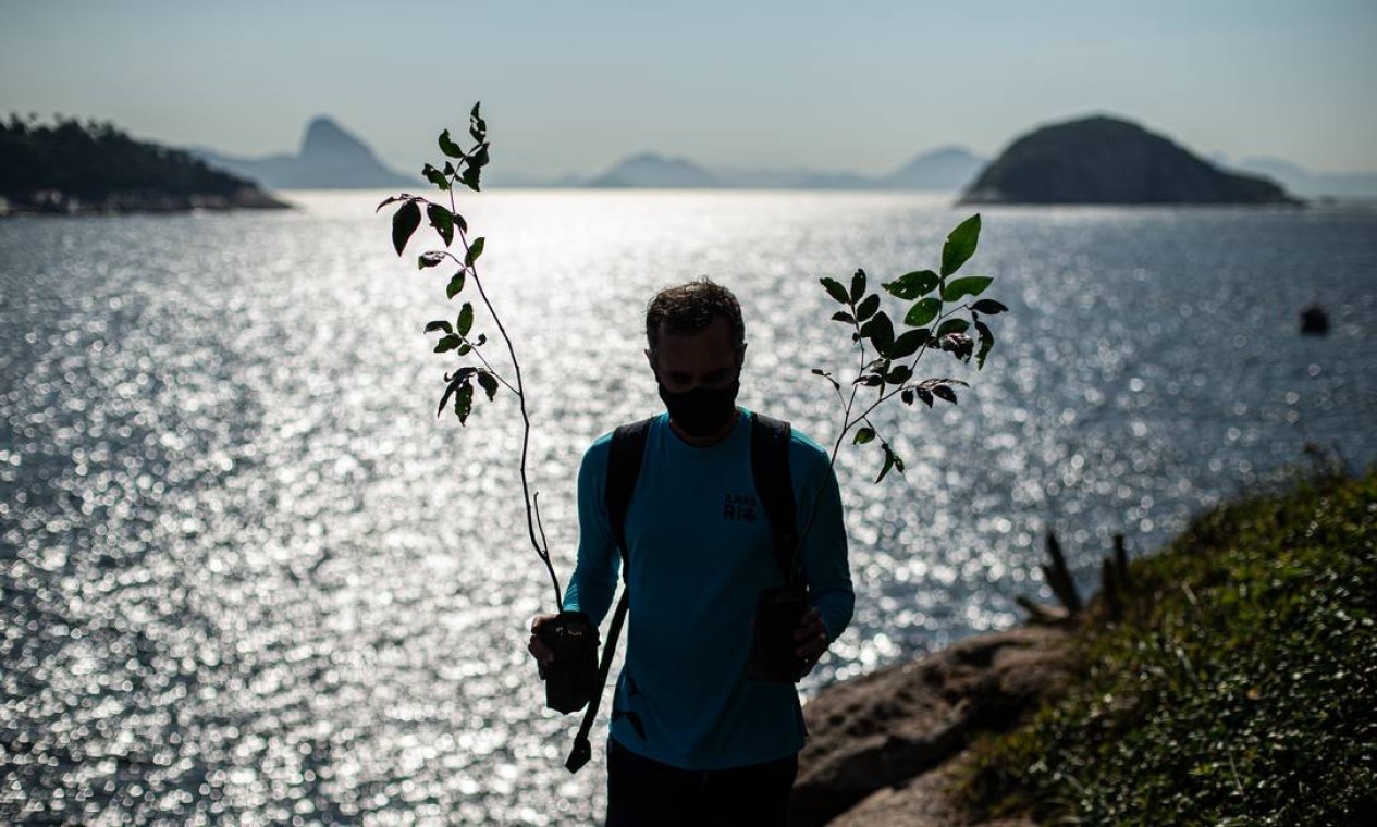 Equipe liderada pelo biólogo Massimo Bovini carregam mudas nativas para serem plantadas na Ilha Comprida Foto: Hermes de Paula / Agência O Globo