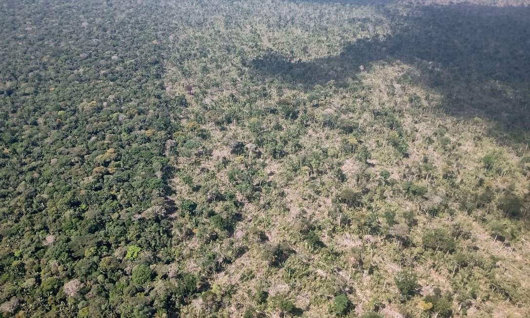 Imagem área da operação que desmobilizou acampamento de desmtadores e aplicou multas a invasores da Terra Indígena Piripkura Foto: Divulgação