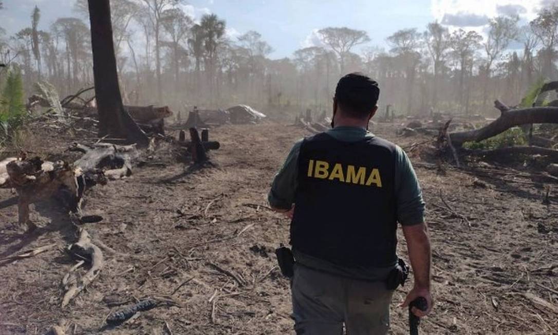 Agente do Ibama faz operação contra o desmatamento na Terra Indígena Piripkura, em Mato Grosso Foto: Divulgação