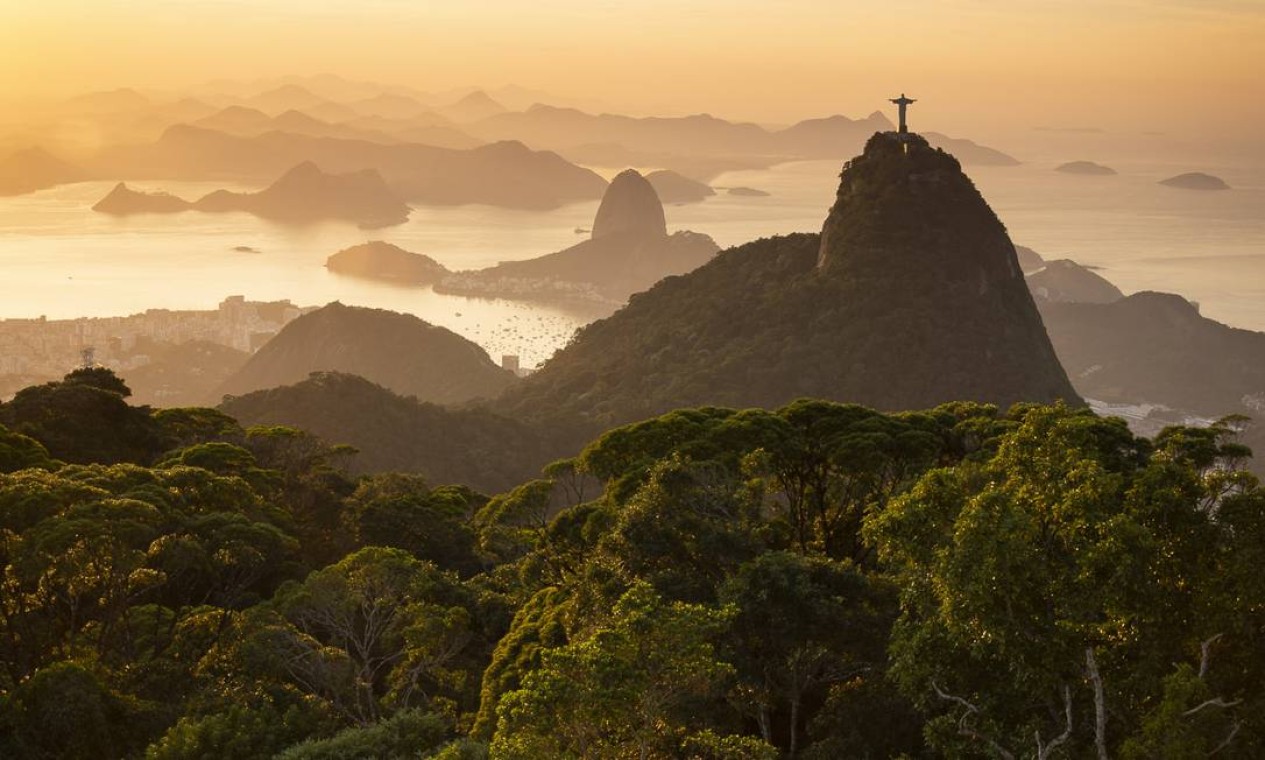 Fotógrafo Vitor Marigo reúne imagens das belezas naturais do Parque Nacional da Tijuca para publicação de um livro, via leis de incentivo Foto: Vitor Marigo