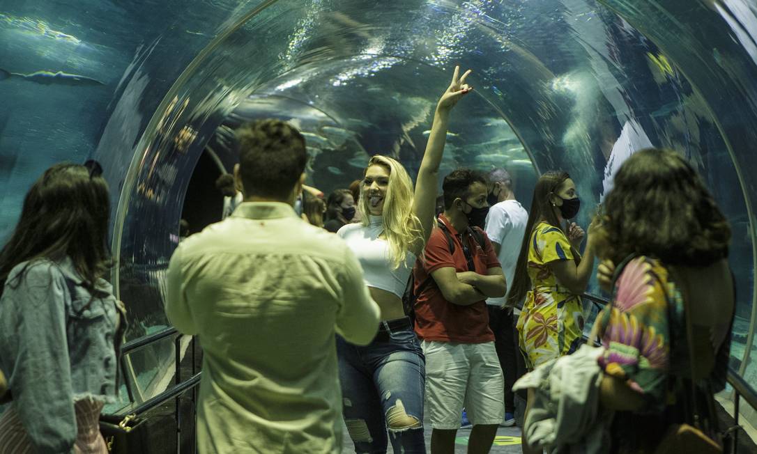 AquaRio promove a 'Shark Week', semana dedicada aos tubarões, O que fazer  no Rio de Janeiro