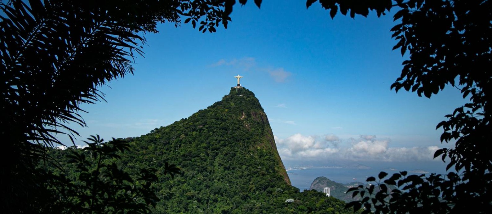 Férias: programas bacanas para curtir com as crianças - Jornal O Globo