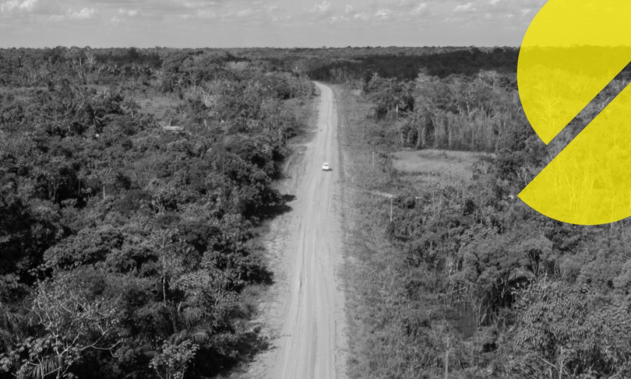 Evolução do desmatamento ao entorno da rodovia BR -230 (Transamazônica).