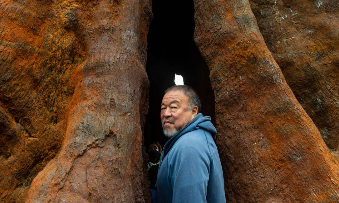 'A Amazônia tem gradualmente colapsado’, diz Ai Weiwei