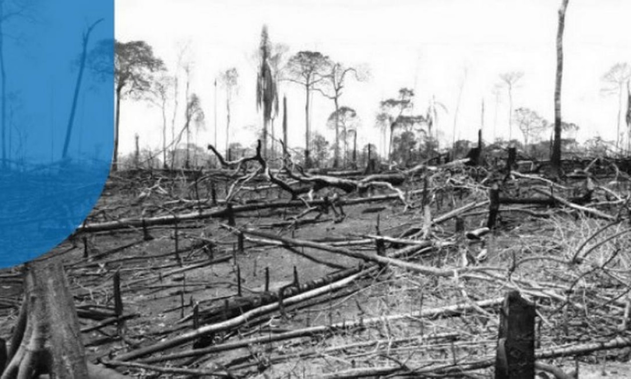 Na reserva Chico Mendes, no Acre, um retrato da destruição da Amazônia