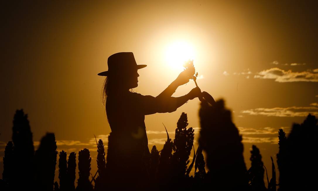 Ana Paula Franciosi inspeciona plantação de uma das propriedades de sua família no Oeste da Bahia: região vive bonança que ela não vê, por exemplo, em Porto Alegre, onde foi estudar Foto: Pablo Jacob / Agência O Globo