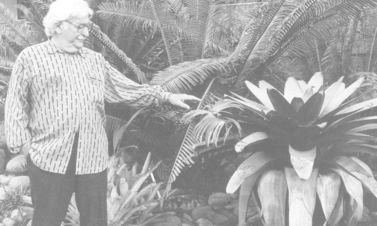 Adquirido pelo paisagista em 1949, o outrora Sítio
Santo Antônio da Bica, atualmente Sítio Roberto Burle
Marx, guarda, em Barra de Guaratiba, cerca de 3.500
espécies de plantas garimpadas por Burle Marx
durante toda a sua vida. Com 365 mil metros quadrados, o sítio foi doado para a Fundação PróMemória (atual Iphan) em 1985, e serviu de lar para
o paisagista até sua morte, em 1994 Foto:  