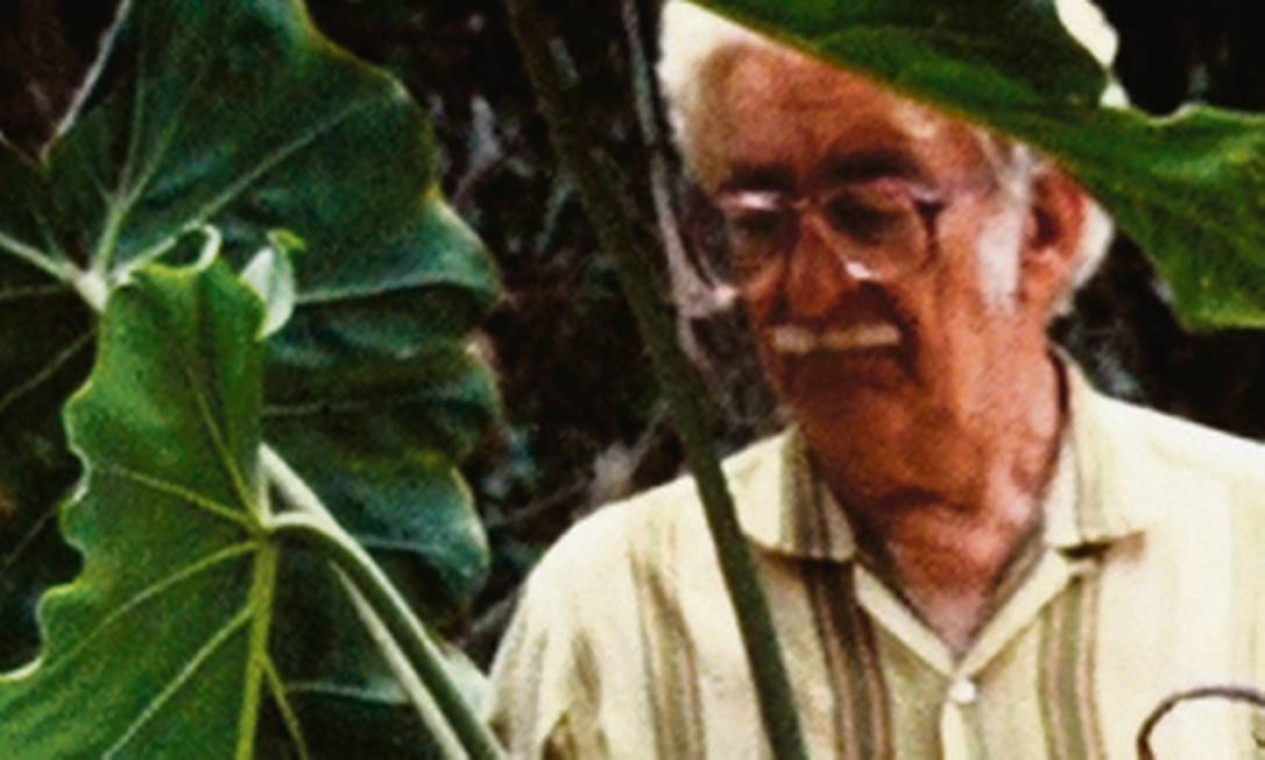 Burle Marx, paisagista falecido em 1994 Foto: Divulgação