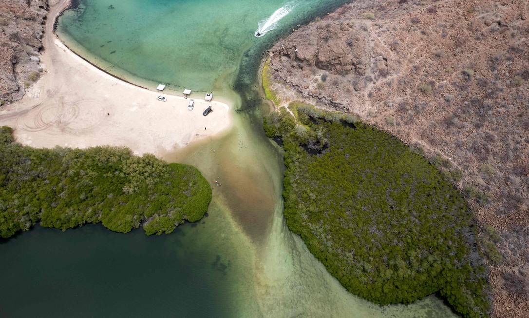 El Golfo de California, también conocido como Mar de Cortés, y sus islas están ahora en la Lista del Patrimonio Mundial de la UNESCO Foto: Guillermo Arias / AFP