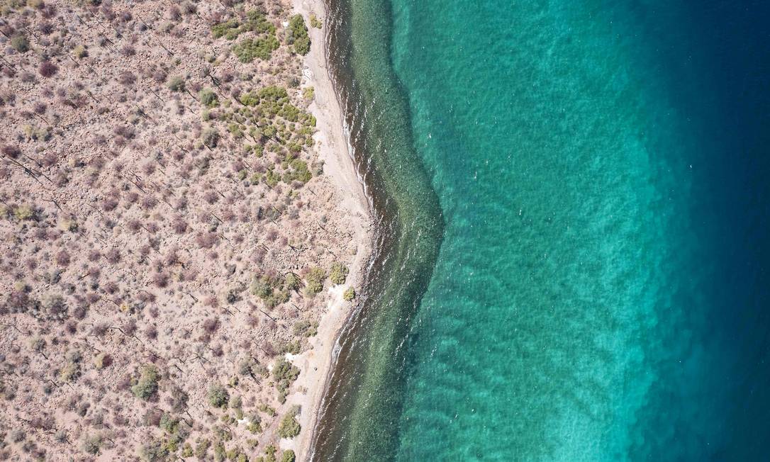 El Golfo de California, también conocido como Mar de Cortés, es ahora Patrimonio de la Humanidad por la UNESCO Foto: GUILLERMO ARIAS / AFP