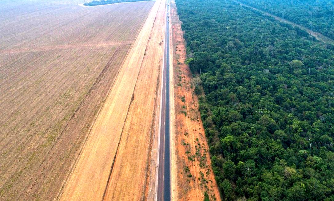 Rodovia corta a Floresta Amazônica em Sinop, Mato Grosso Foto: Caio Guatelli / Caio Guatelli