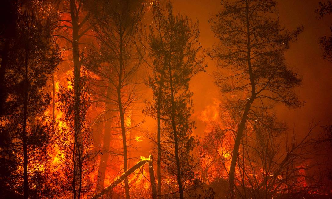 Incêndio atinge floresta na ilha de Eubeia, na Grécia Foto: ANGELOS TZORTZINIS / AFP