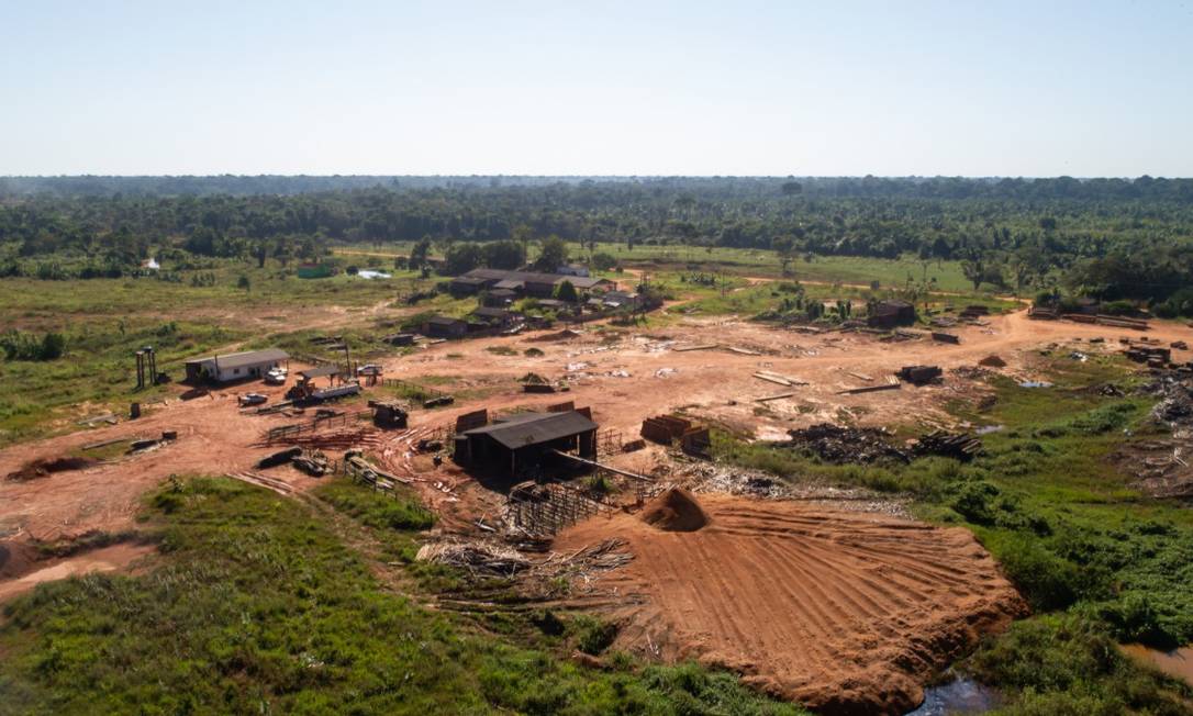 Evolução do desmatamento ao entorno da rodovia BR -230 (Transamazônica).