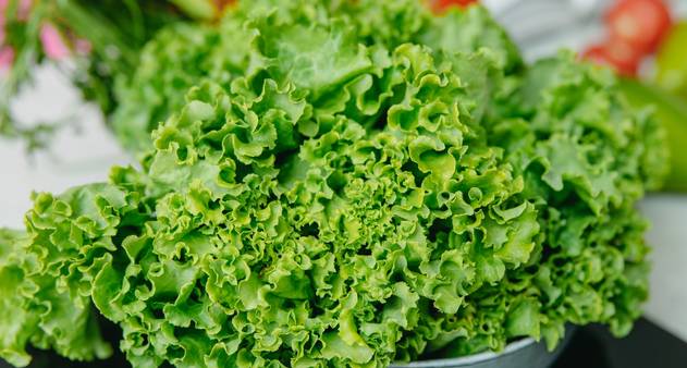 Frio deixa hortaliças mais caras; veja como substituir a salada nas refeições - Vimarsana News