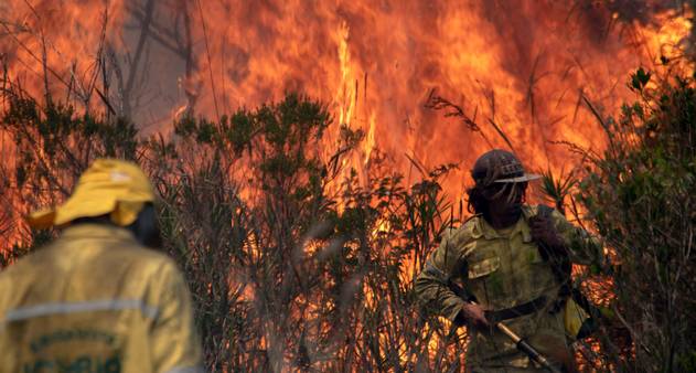 Tragédia climática pode criar 'refugiados' ambientais e dar prejuízos ao agronegócio, diz relatório da ONU - Vimarsana News